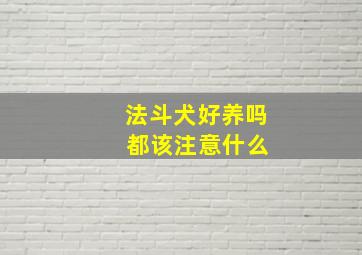 法斗犬好养吗 都该注意什么